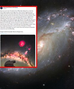 Zdjęcie Polki zachwyciło NASA. Przyznano prestiżowe wyróżnienie