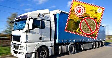 Służby zatrzymały tony popularnej przyprawy. Oto co odkryły