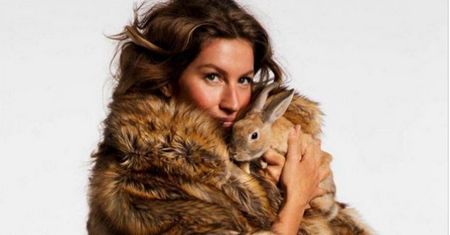 Gisele Bundchen w walce o los bezbronnych zwierząt. Modelka wzięła udział w głośnej akcji