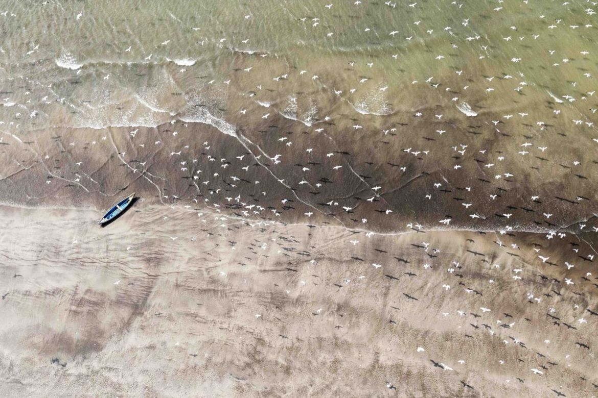 Adam Żądło w finale Smithsonian Photo Contest 2017 24