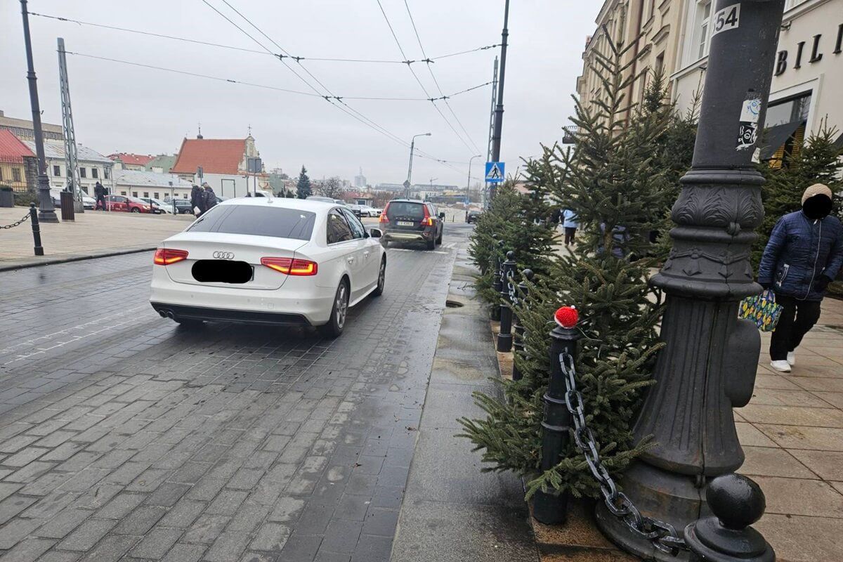 Choinki zasłaniające pieszych przy przejściu dla pieszych na ul. Lubartowskiej