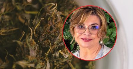 Zabójcze zioła. Lekarka ostrzega przed ryzykiem interakcji z lekami
