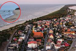 Niezwykli "goście" na plaży. Niedaleko odpoczywali plażowicze