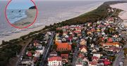 Niezwykli "goście" na plaży. Niedaleko odpoczywali plażowicze