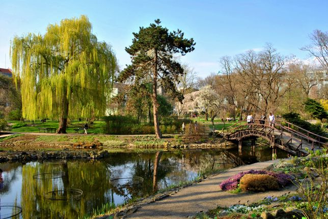 Ogród botaniczny we Wrocławiu będzie można zwiedzić nocą