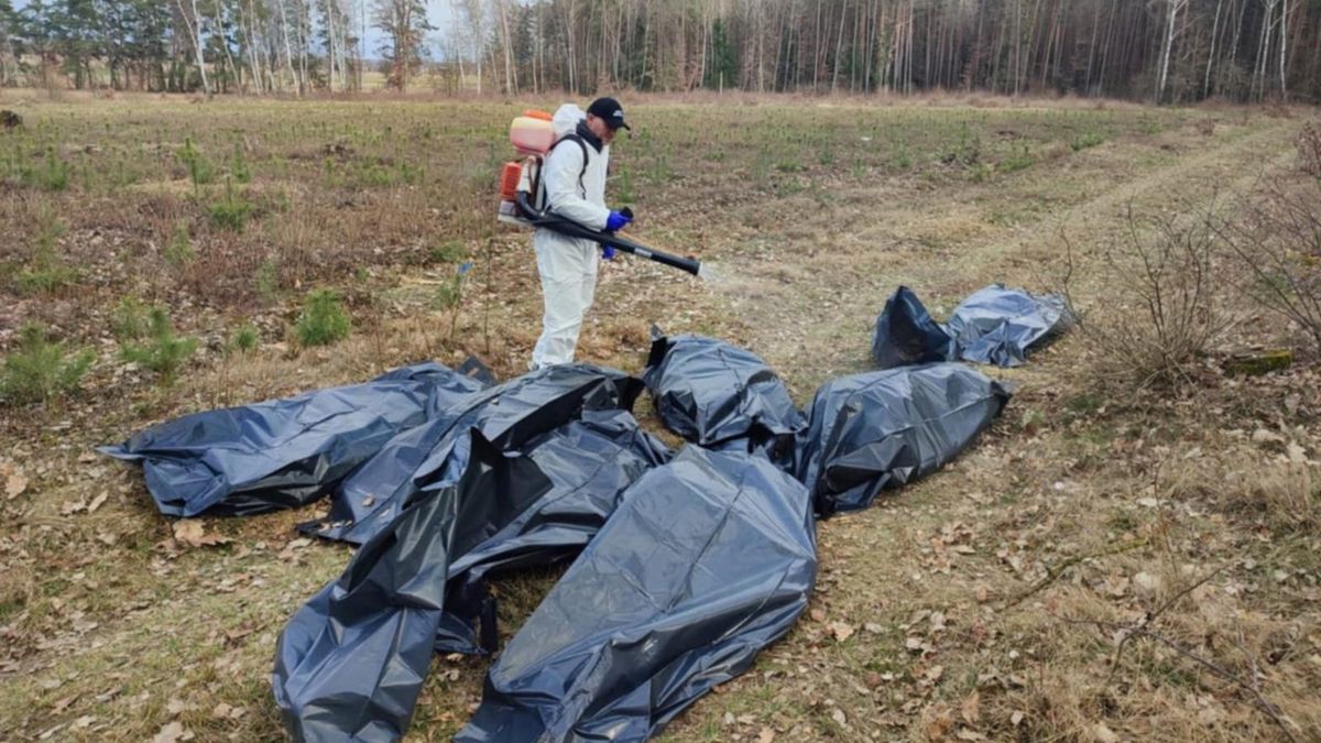 U padłych kur potwierdzono ptasią grypę.