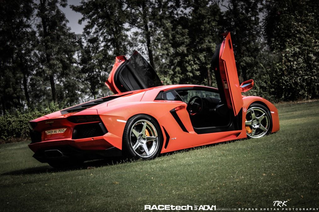 Lamborghini Aventador, felgi ADV.1 i słoń - niecodzienna sesja zdjęciowa [galeria] 13