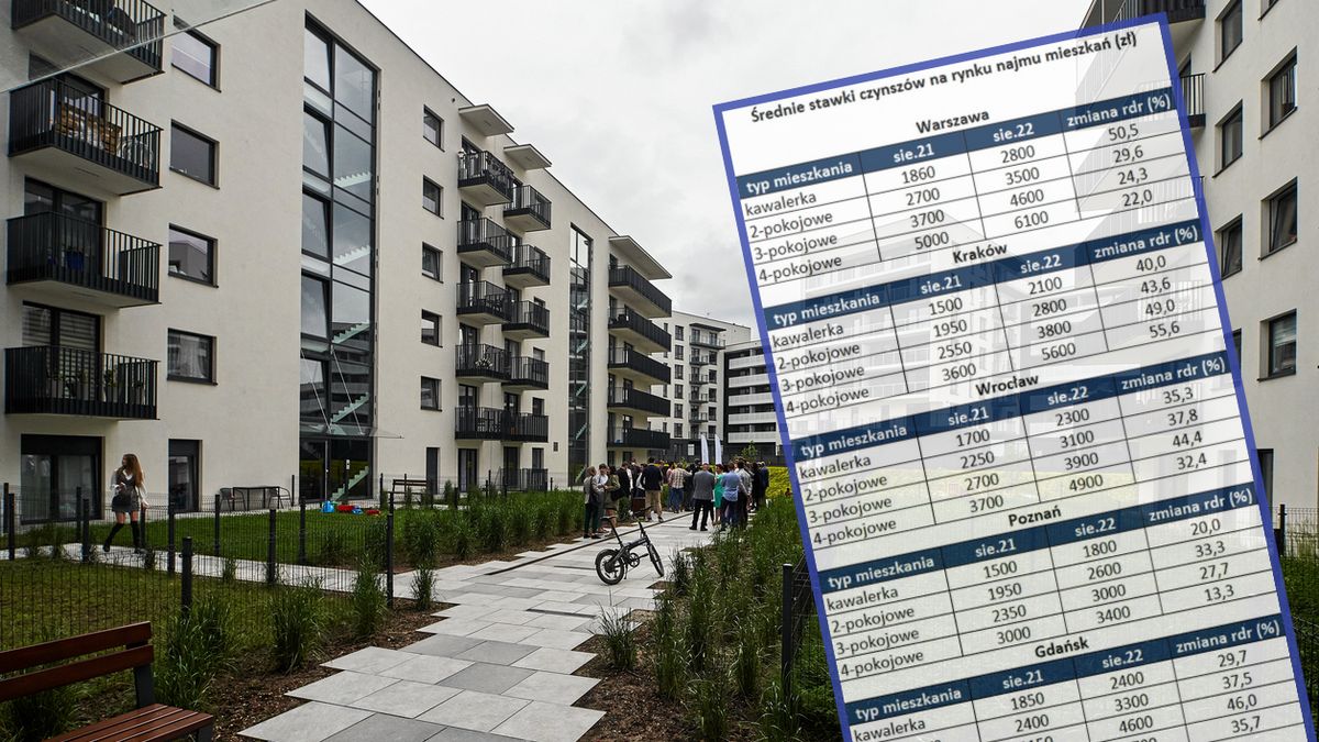 Ceny na rynku najmu idą w górę. Nic nie wskazuje na to, że sytuacja się odwróci