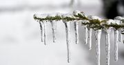 Zima nie wytrzyma długo. Prognozy pokazują nagłe ocieplenie