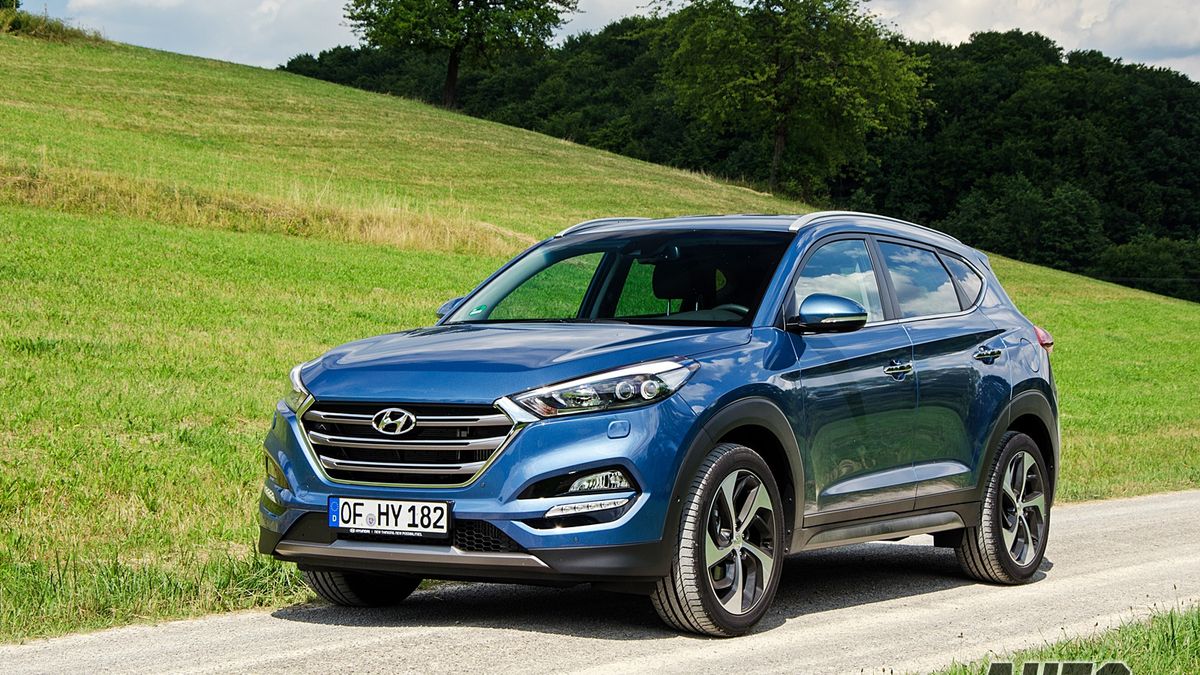 Zdjęcie ilustracyjne do artykułu