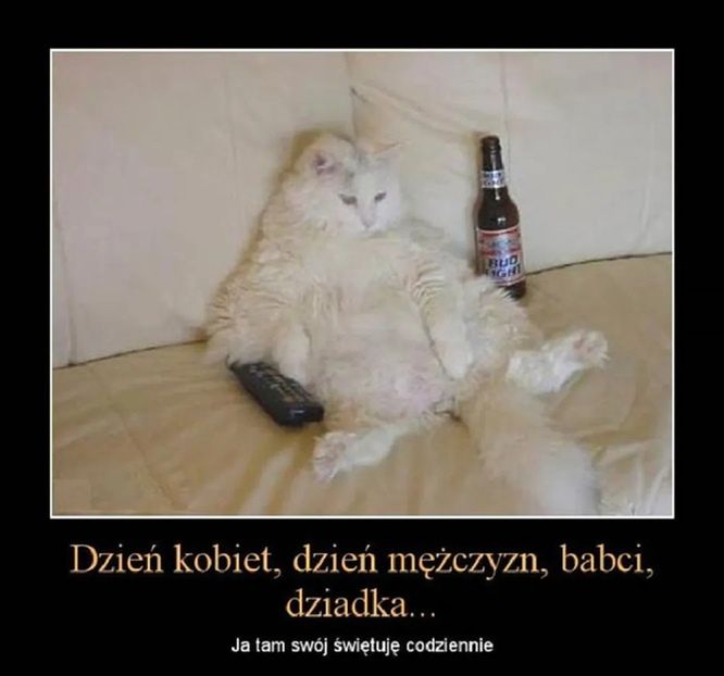 Dzień Mężczyzn 2026, memy