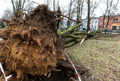 Niszczące wichury nad całą Polską. Zdjęcia ze skutków przejścia niżu Nadia