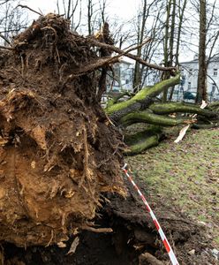 Niszczące wichury nad całą Polską. Zdjęcia ze skutków przejścia niżu Nadia