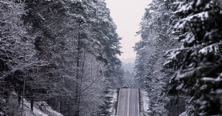 Pogoda. Polska w centrum syberyjskiej zimy. Temperatury sięgną nawet -20 stopni