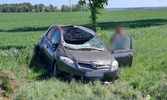 Jeleń wskoczył na auto. Kierowca nie miał szans