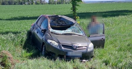 Jeleń wskoczył na auto. Kierowca nie miał szans