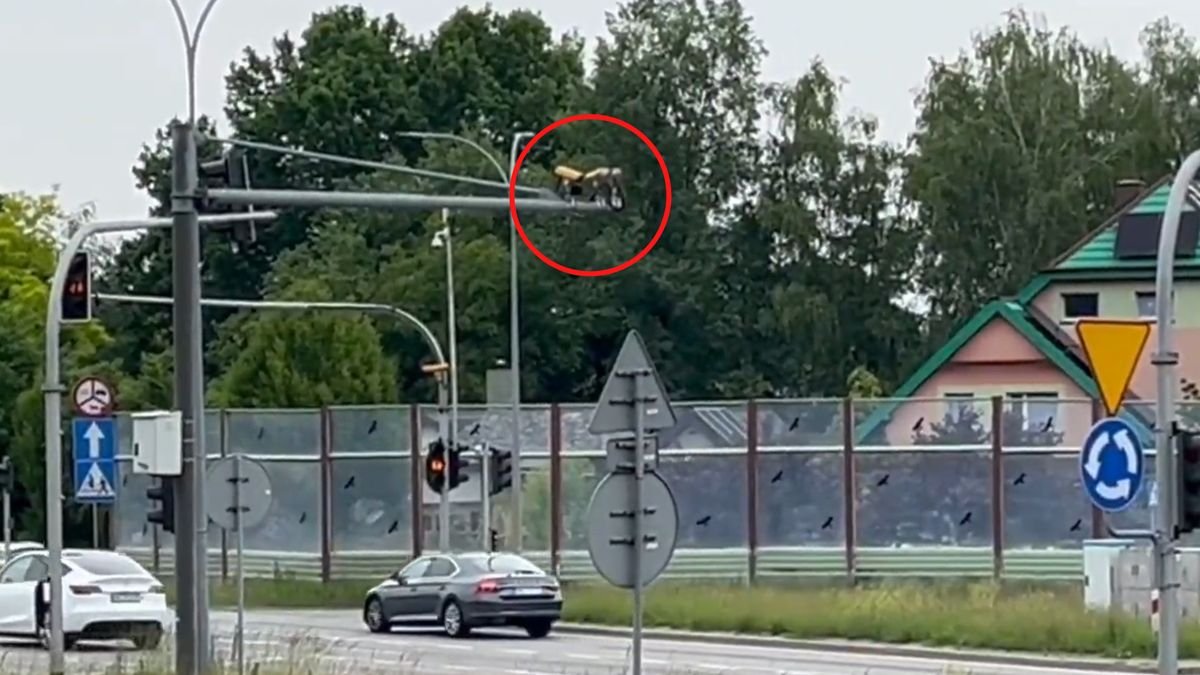 34,5 zł mln zł z mandatów przez 10 lat.