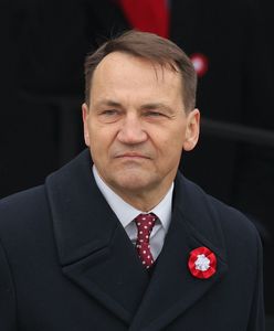 "Mam mocne papiery". Sikorski komentuje prawybory