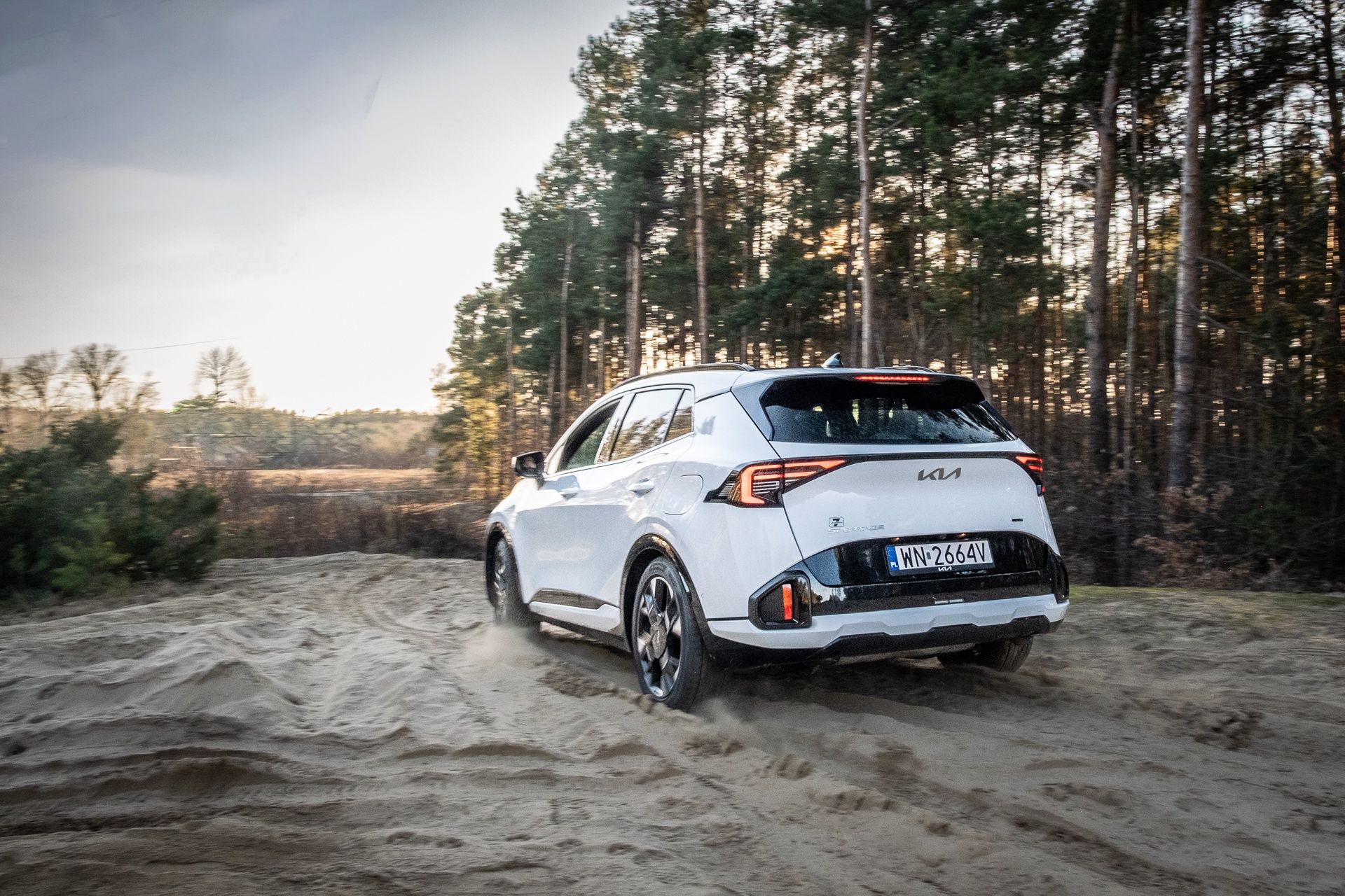 Kia Sportage 1.6 T-GDI AWD (2026)