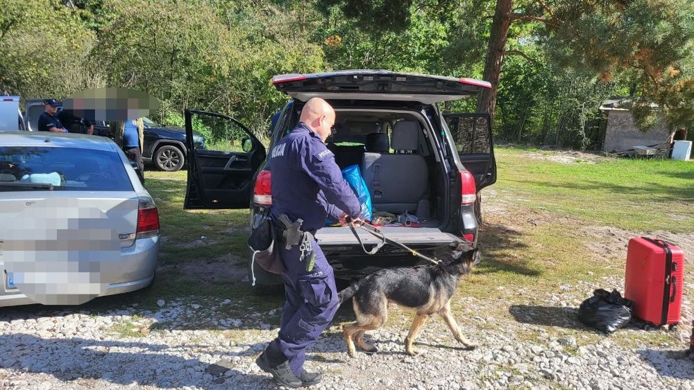 policja