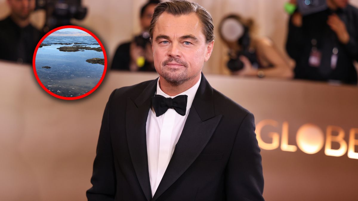 Film Leonardo DiCaprio mówi o katastrofie ekologicznej
