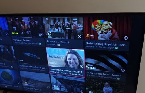 Które kanały mogą zniknąć z rynku? „Specjalistyczne, polskie i dokumentalne”