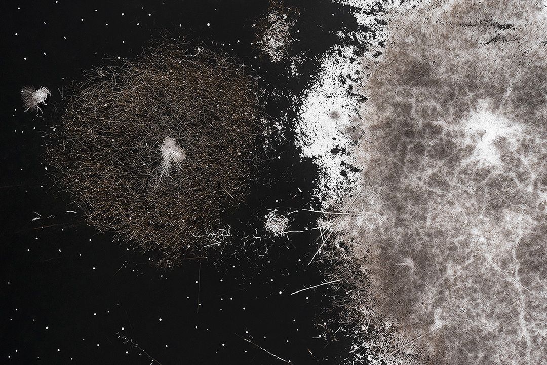 Podczas festiwalu Landskrona Foto 2017 zobaczymy prace Polaka – Kacpra Kowalskiego 3