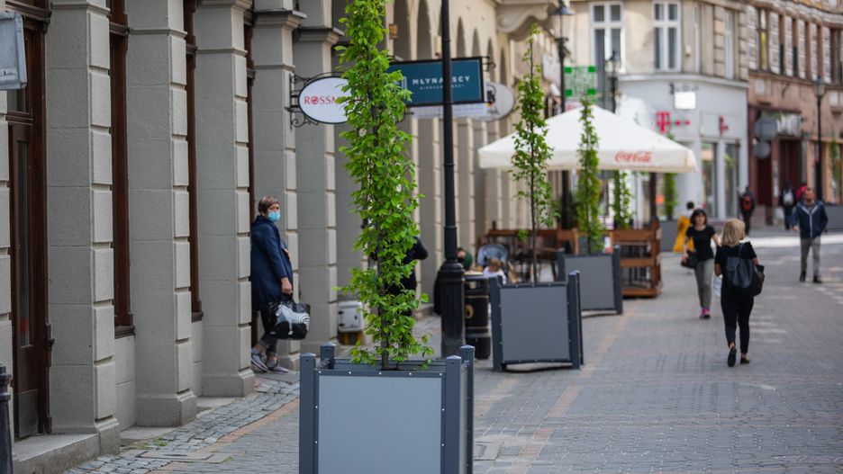 Bielsko-Biała. Wzdłuż ul. 11-listopada stanęły donice z drzewami.