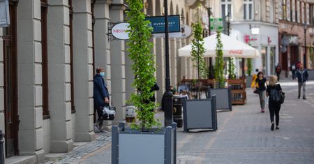 Bielsko-Biała. Upiększyli deptak, drzewa w donicach