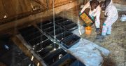 Laboratorium na Podlasiu. W nim narkotyki warte 6 milionów złotych