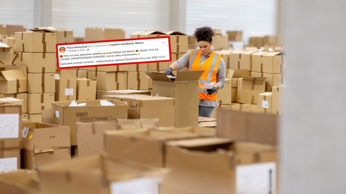 Niemcy szukają do pracy.