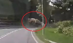 Betoniarka przygniotła dwie osoby. Nagranie z wypadku