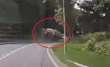 Betoniarka przygniotła dwie osoby. Nagranie z wypadku