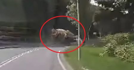 Betoniarka przygniotła dwie osoby. Nagranie z wypadku