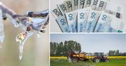 Dotacje na walkę z przymrozkami. Rolnicy mogą dostać nawet 200 tys. zł