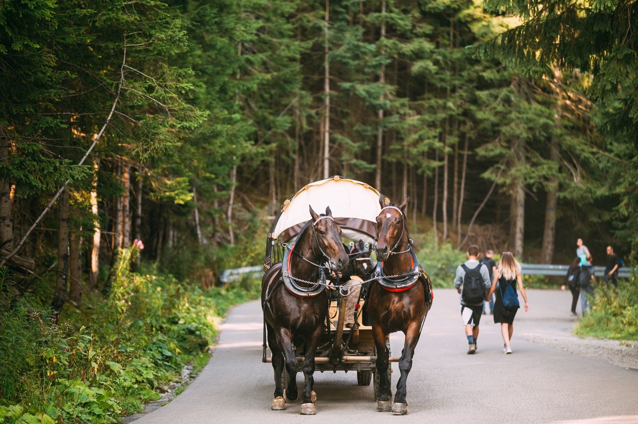 Morskie Oko. Wprowadzono limit wejść na popularnym szlaku