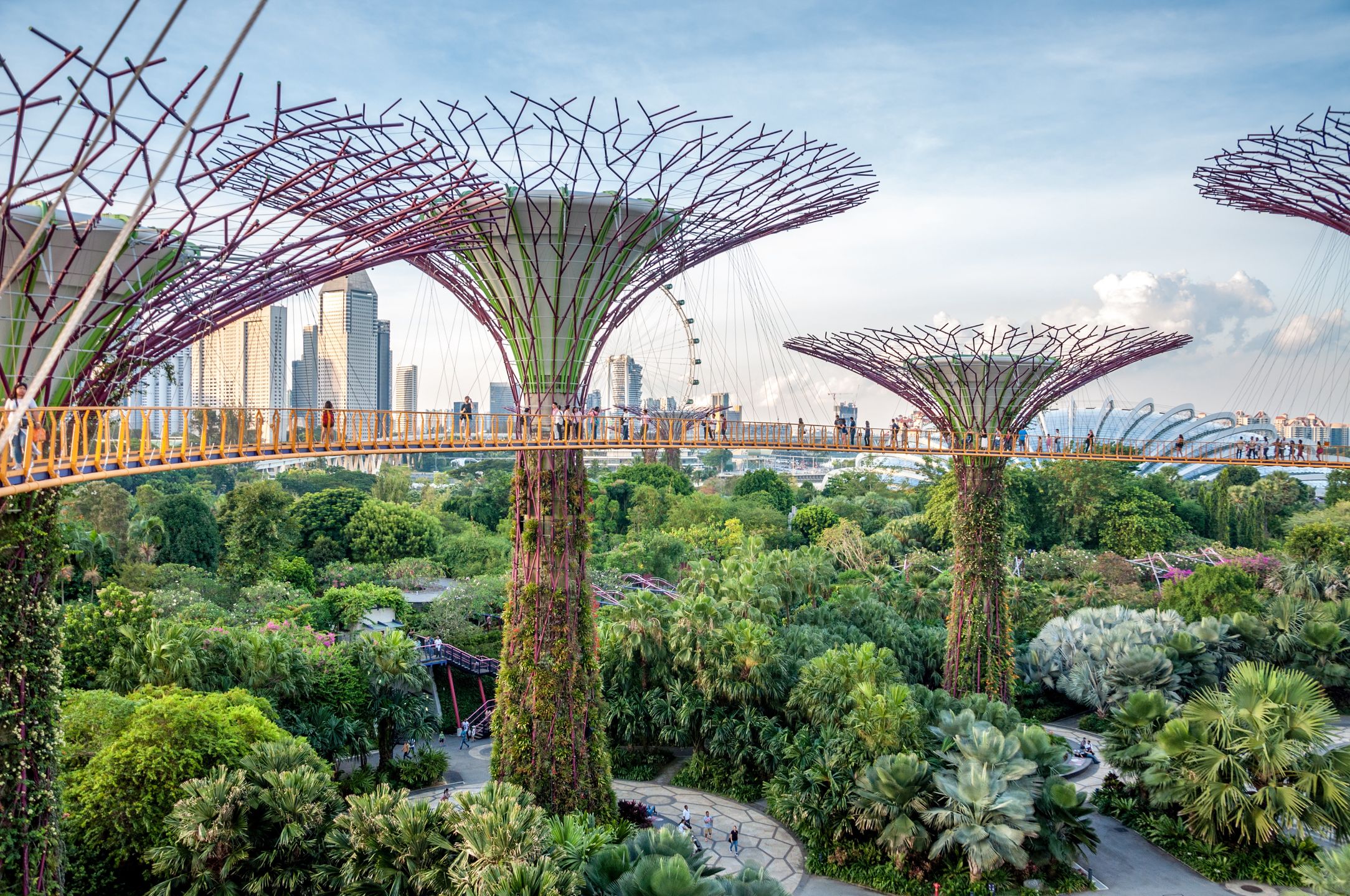 Singapur zachwyca licznymi ogrodami