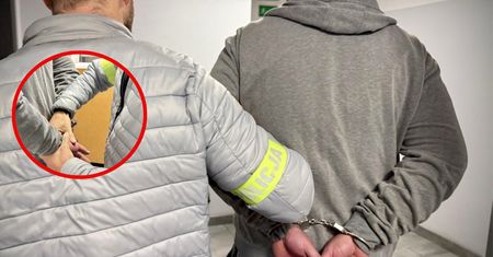 Areszt dla pedofila. Szokujące ustalenia śledczych