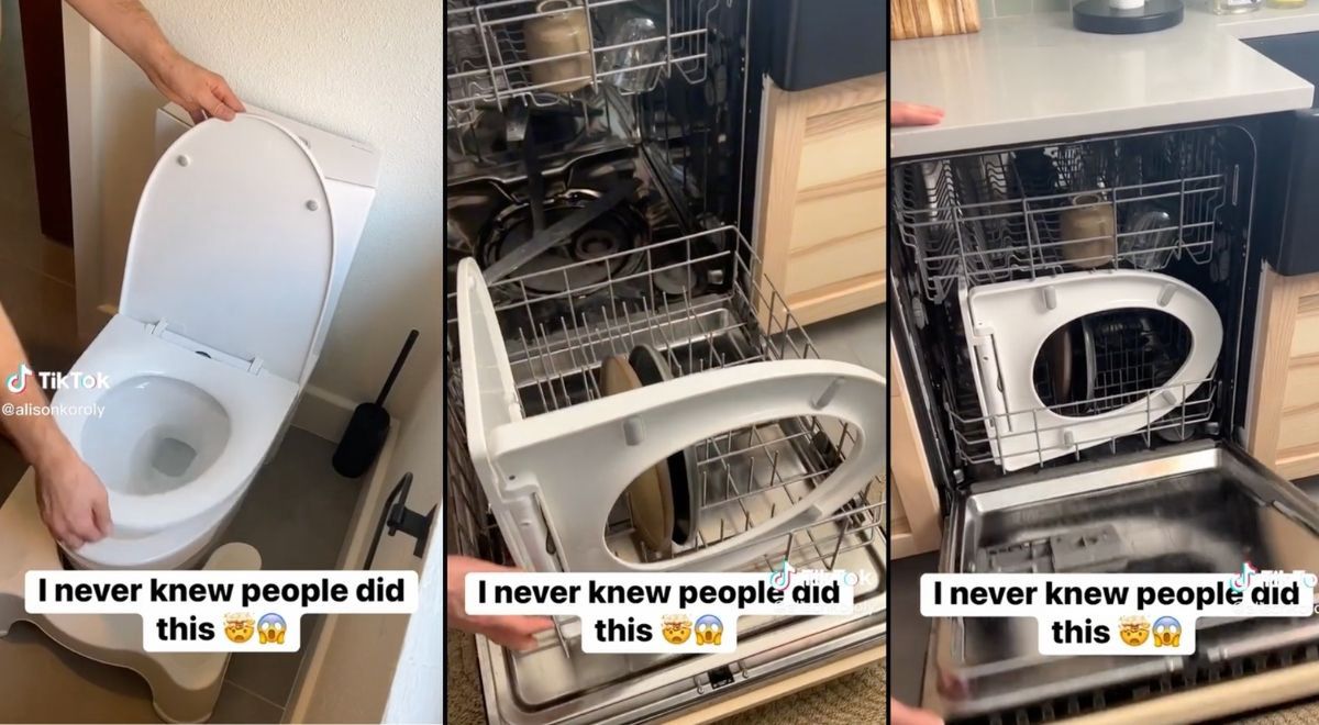 Influencer sweeps internet with unusual toilet cleaning trick, sparks hilarious backlash