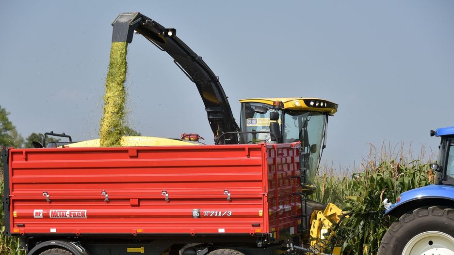 Już teraz wiele firm feruje usługi przy zbiorze kukurydzy przed startem żniw. Ceny zależą od powierzchni, regionu, sprzętu i renomy firmy.