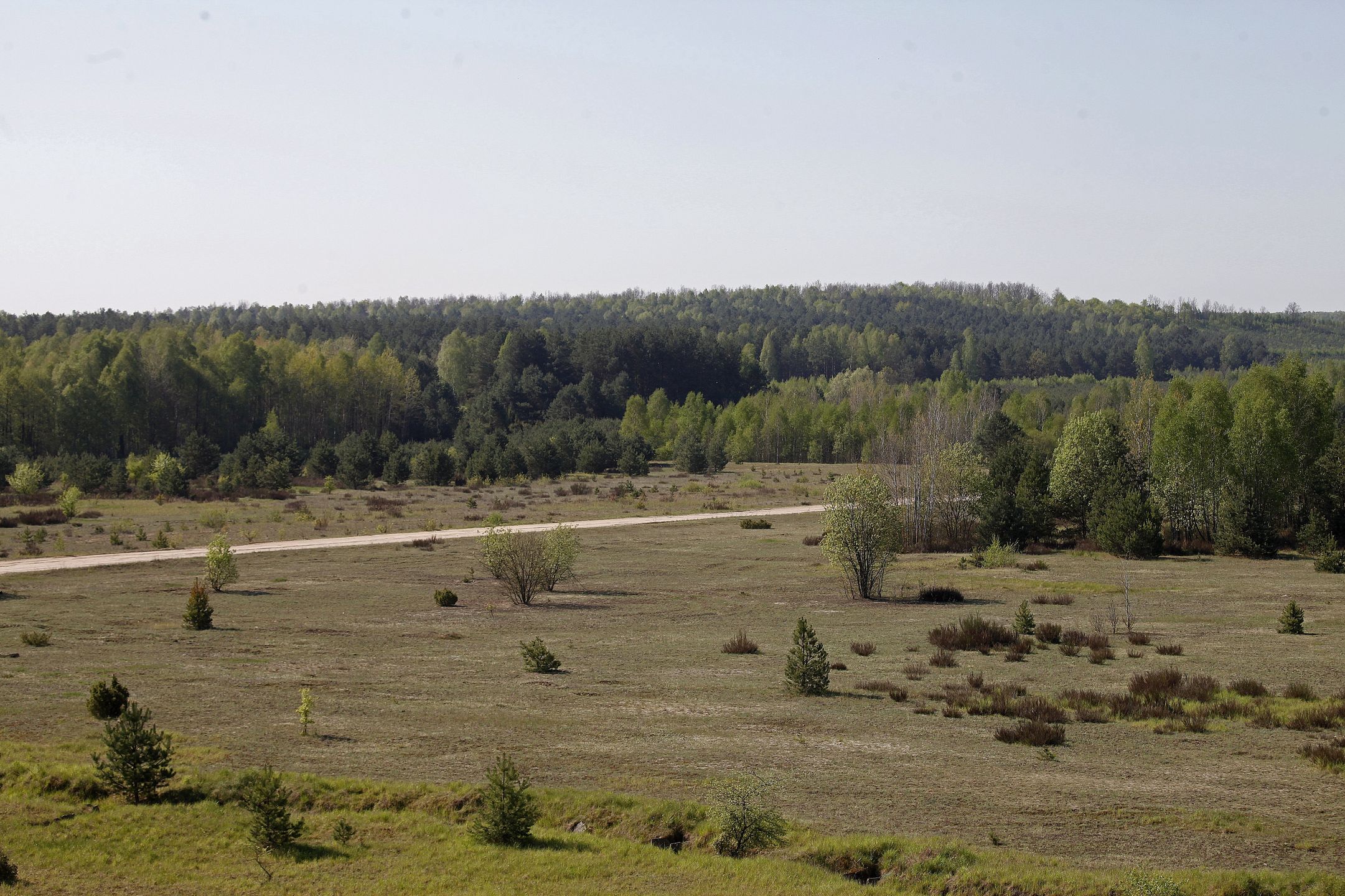Borne Sulinowo 
