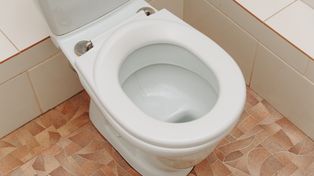 Wrzuć dwa ząbki do muszli i zostaw na noc. Rano efekt cię zaskoczy