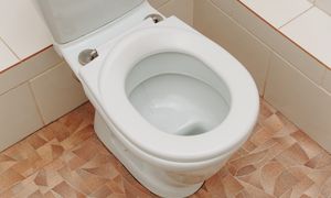 Wrzuć dwa ząbki do muszli i zostaw na noc. Rano efekt cię zaskoczy