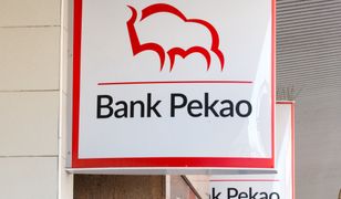 Chińska firma "pożyczyła" żubra z logo Banku Pekao. "Podjęliśmy działania"