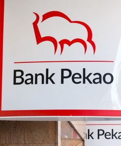 Chińska firma "pożyczyła" żubra z logo Banku Pekao. "Podjęliśmy działania"