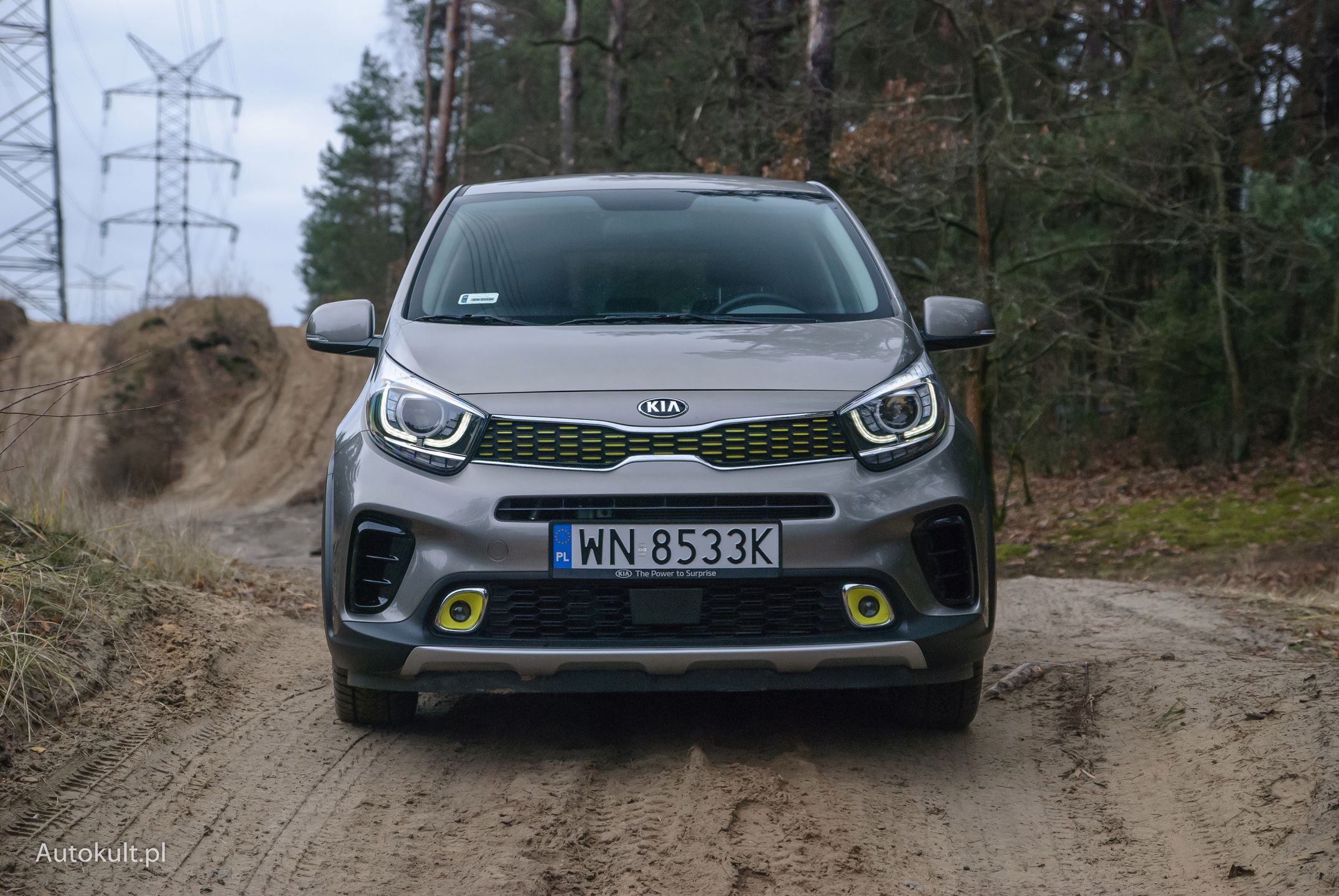 Groźny przód Kii Picanto