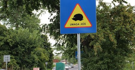 Przy ulicach pojawiły się tabliczki informujące o obecności jeży w okolicy