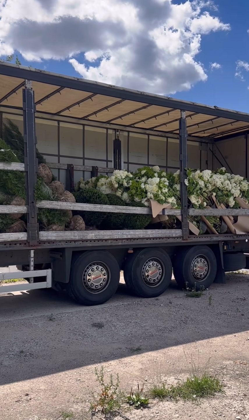 Andziaks pochwaliła się roślinami do ogrodu