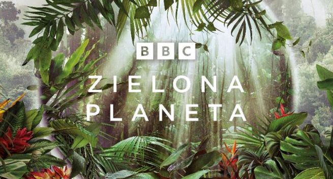 Na BBC Earth startuje „Zielona Planeta” – cykl z Davidem Attenborough