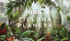 Na BBC Earth startuje „Zielona Planeta” – cykl z Davidem Attenborough